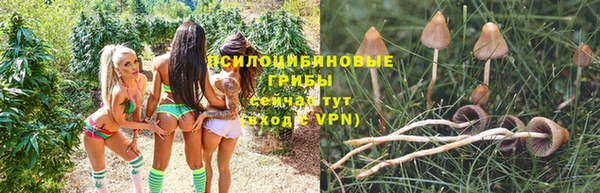 кокаин колумбия Белокуриха