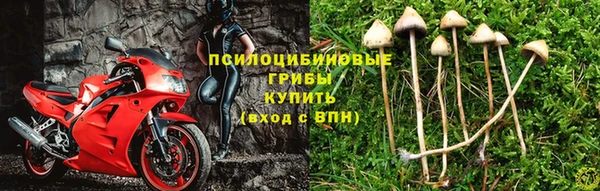кокаин колумбия Белокуриха